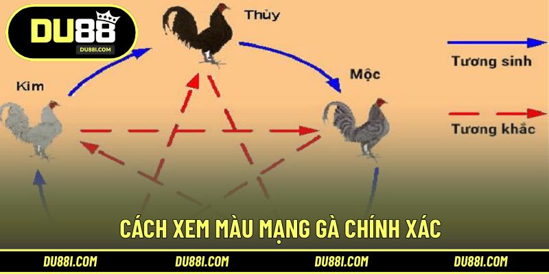 Cách xem màu mạng gà chính xác