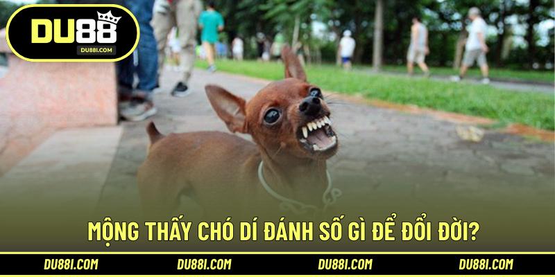 Mộng thấy chó dí đánh số gì để đổi đời?