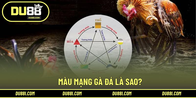 Màu mạng gà đá là sao?