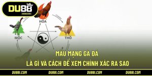 màu mạng gà đá