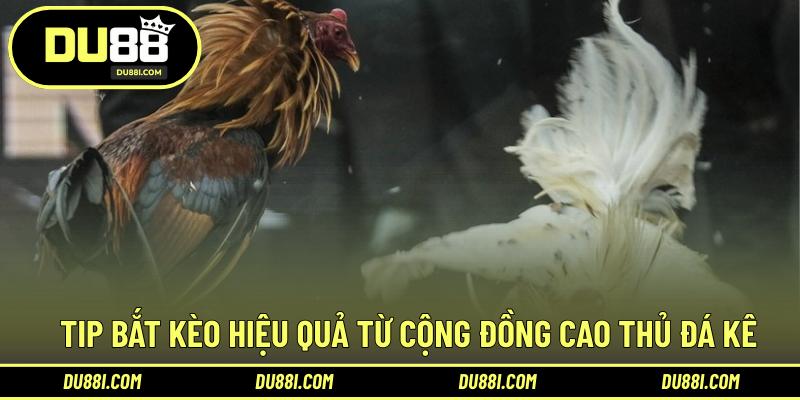 Tip bắt kèo hiệu quả từ cộng đồng cao thủ đá kê