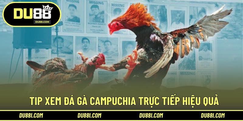 Tip xem đá gà Campuchia trực tiếp hiệu quả