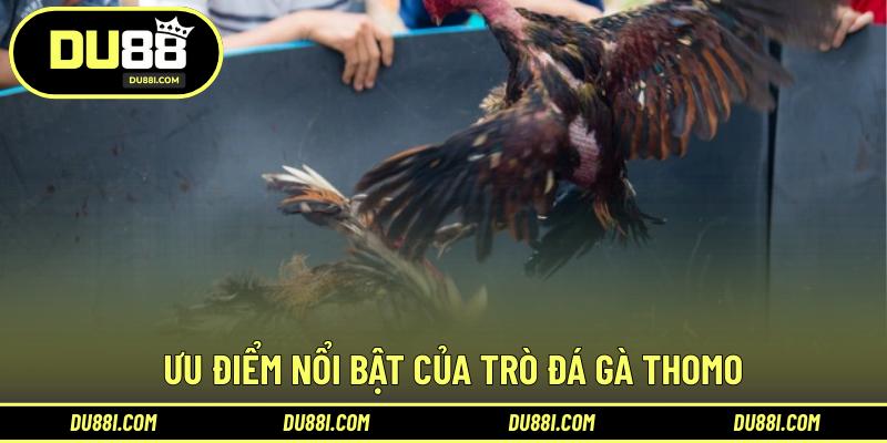 Ưu điểm nổi bật của trò đá gà Thomo